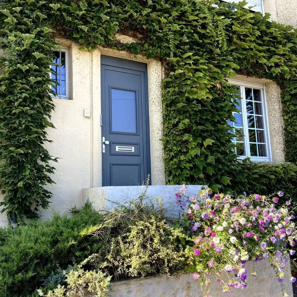 Entrée de maison couverte de lierre avec une porte bleue et des fleurs colorées devant.