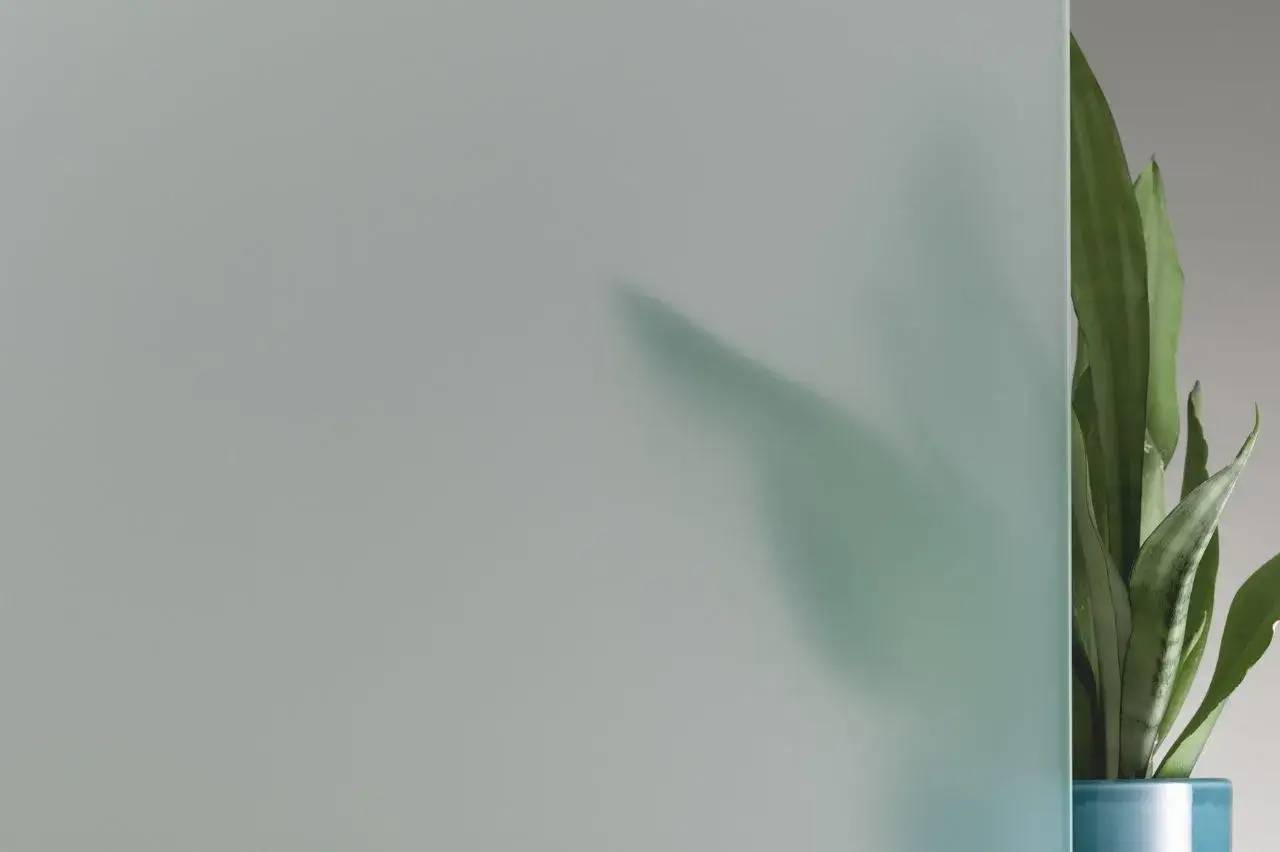 Un pot bleu avec une plante verte aux longues feuilles se trouve derrière une paroi en verre dépoli.