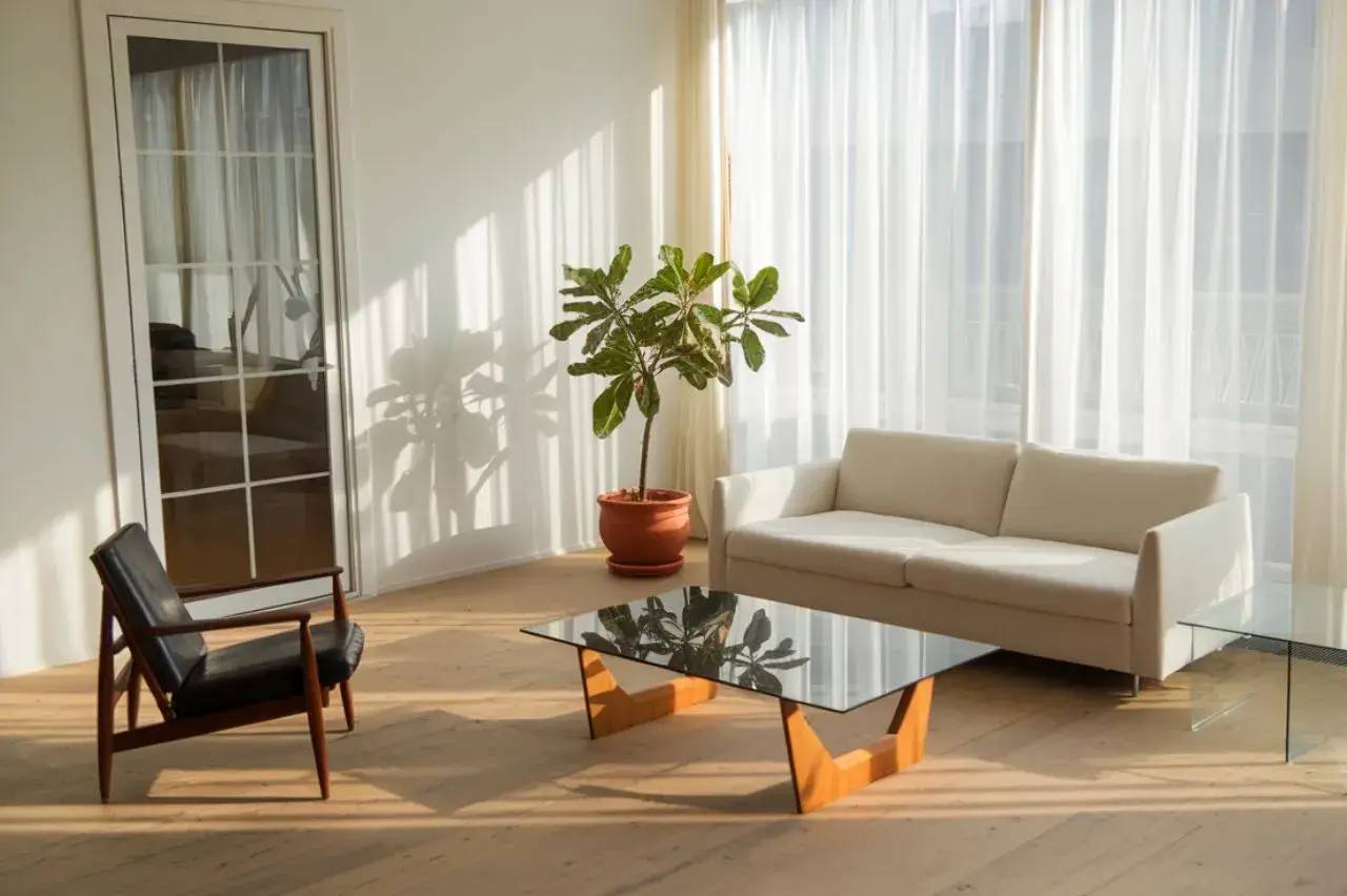 Un salon lumineux et minimaliste avec un canapé blanc, une table basse en verre, un fauteuil en bois foncé et une plante en pot, ba