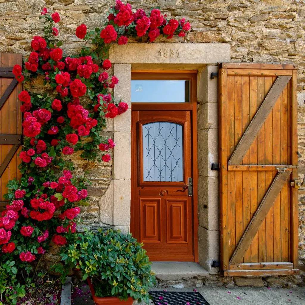 Une porte en bois s'ouvre sur un mur de pierres, ornée de roses rouges luxuriantes grimpant élégamment sur le côté.