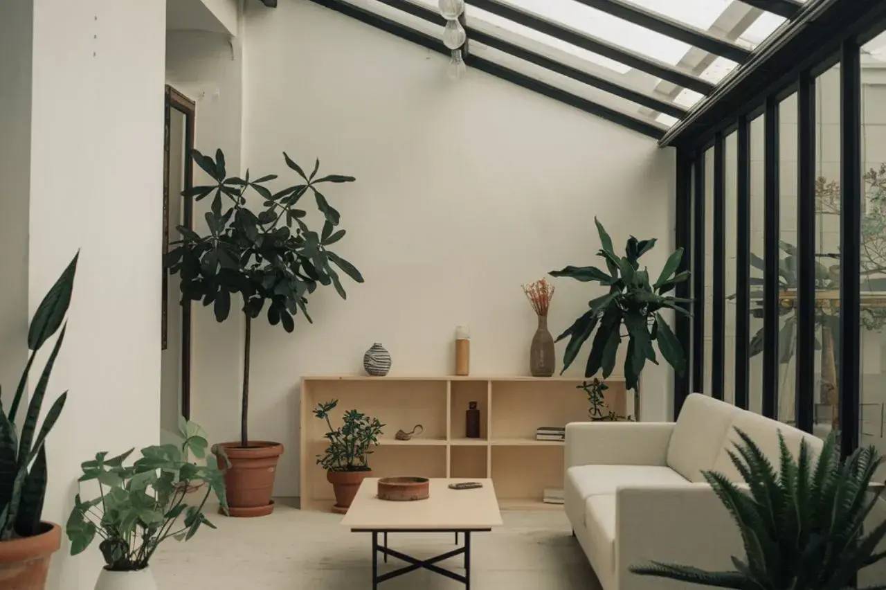 Un salon moderne et lumineux avec des plantes vertes, un canapé blanc et une étagère minimaliste sous un plafond en verre.