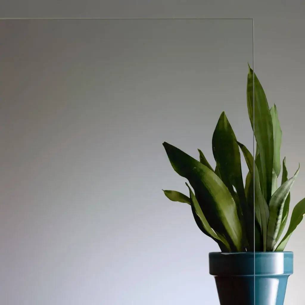 Une plante en pot vert foncé se dresse sur un fond gris minimaliste.
