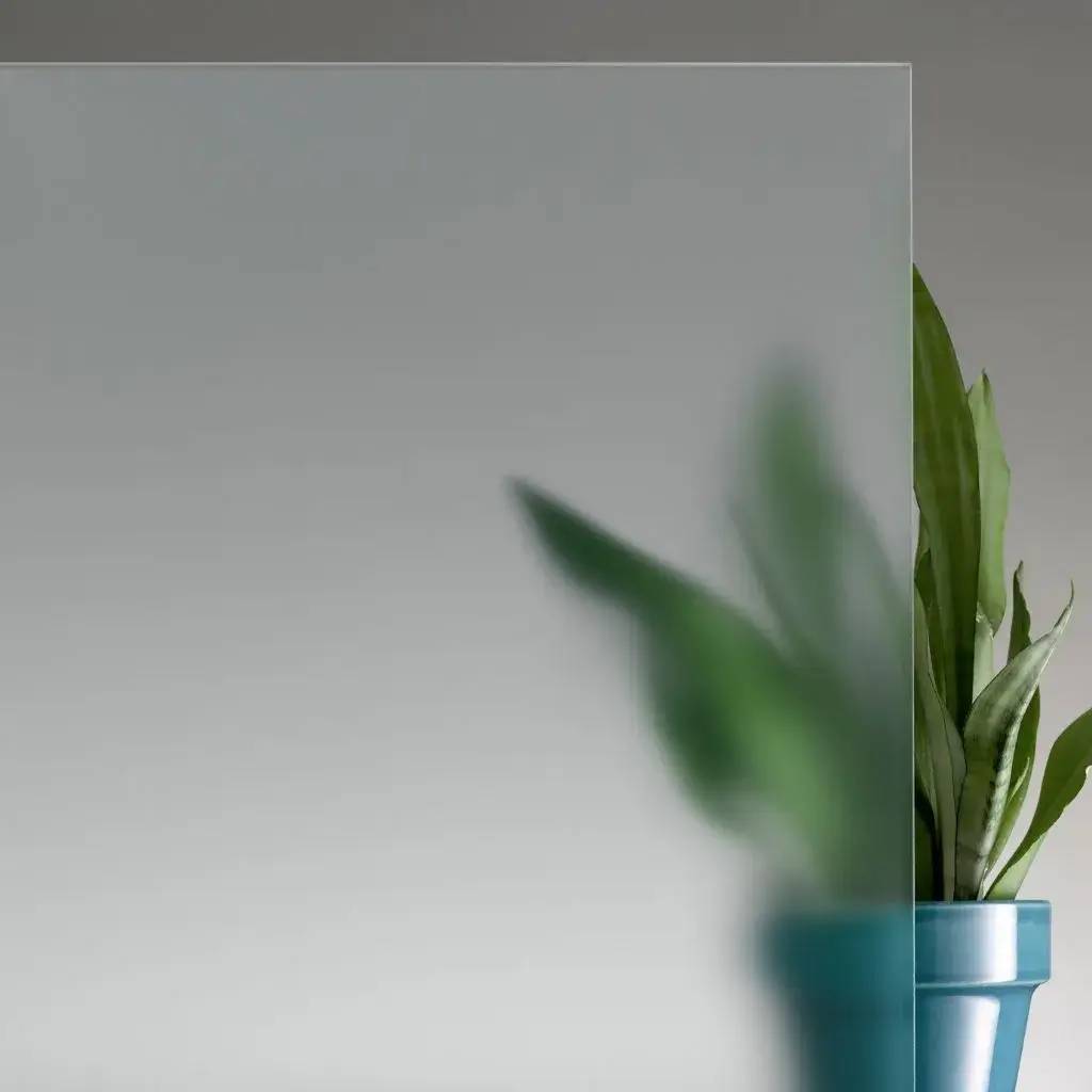 Un film dépoli est apposé sur une vitre, créant un effet flou sur une plante verte en pot à l'arrière-plan.