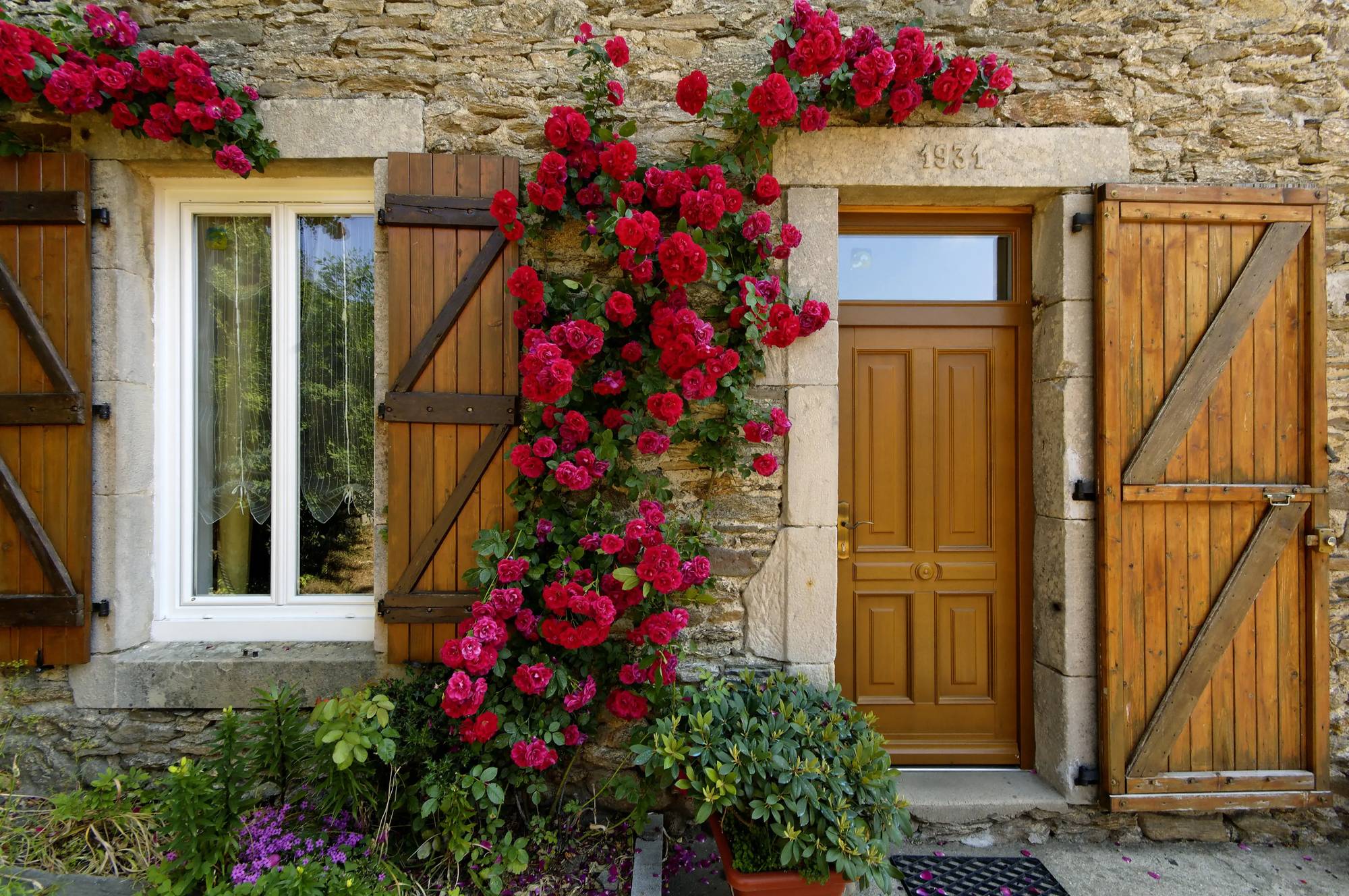 fenetre_maison_avec_fleur.webp